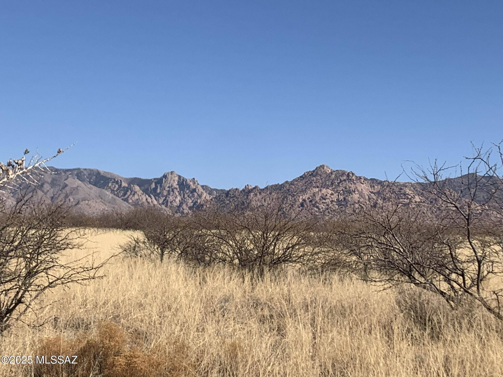 St. David, AZ 85630,TBD S De Niza  #48