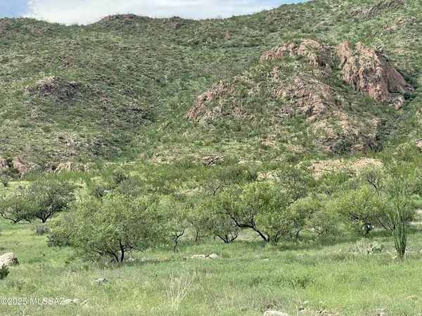 Tubac, AZ 85646,000 Shadow Crest Court #82