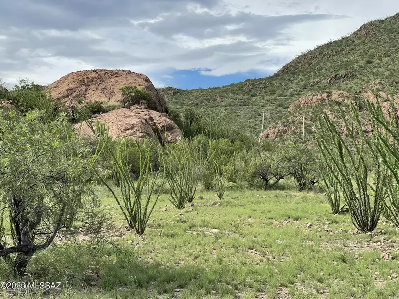 000 Shadow Crest Court #82, Tubac, AZ 85646