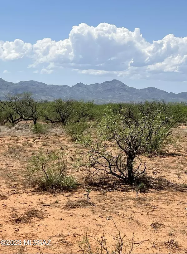 Tubac, AZ 85646,TBD Camino Talavera  #67