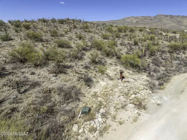 Tucson, AZ 85747,15175 E Rincon Creek Ranch Road