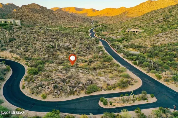 Marana, AZ 85658,15096 N Gallery Overlook Place #159