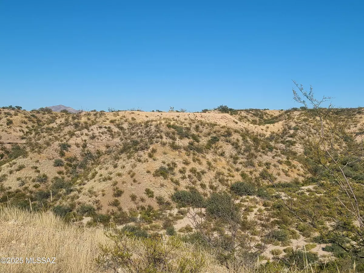 Benson, AZ 85602,S Lonesome Road #n/a