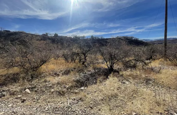 Rio Rico, AZ 85648,1312 Opera Court #111