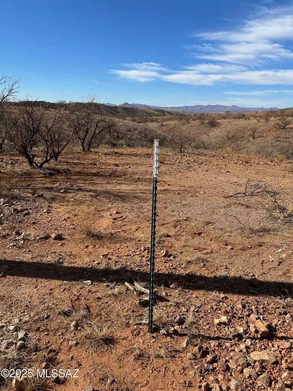 Patagonia, AZ 85624,211 Circulo Montana #25