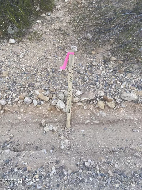 Pima, AZ 85543,TBD 1600 W (APN 109-73-137)