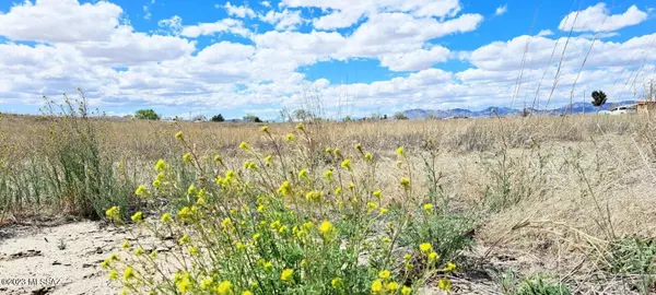 Willcox, AZ 85643,TBD E 2nd Lane #67