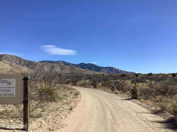 Willcox, AZ 85643,37.21ac W Sheepwash Road #254