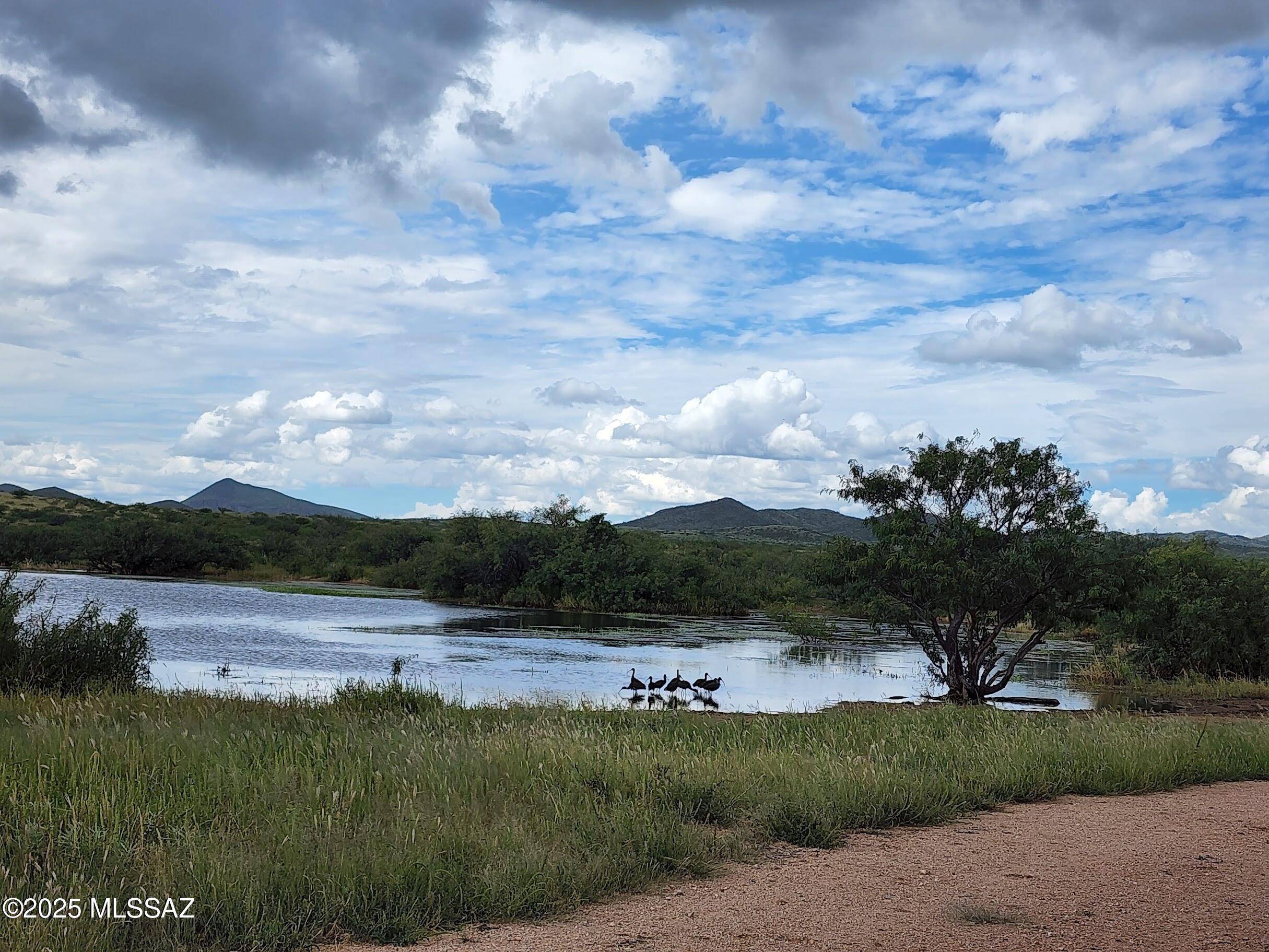10632 N Double U Ranch Road, Tombstone, AZ 85638