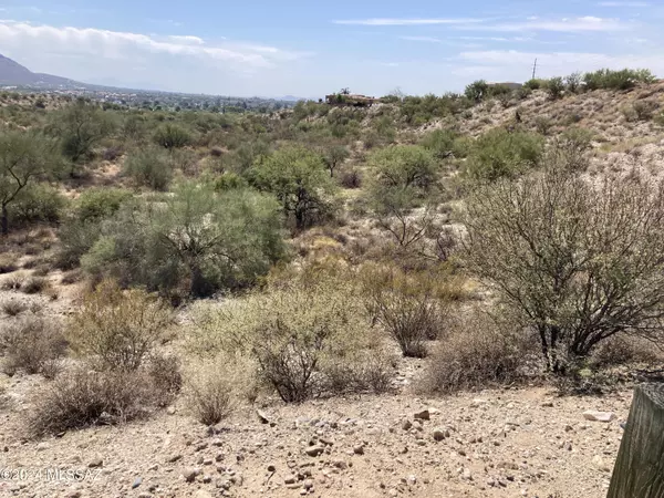 Oro Valley, AZ 85737,199 W Naranja Drive