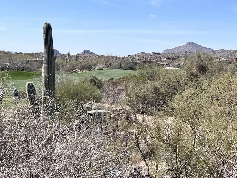 14521 N Rocky Highlands Drive #215, Oro Valley, AZ 85755