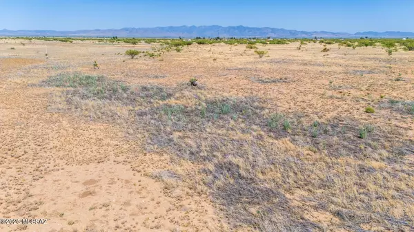 Pearce, AZ 85625,18 Acres Mockingbird Road #117&124