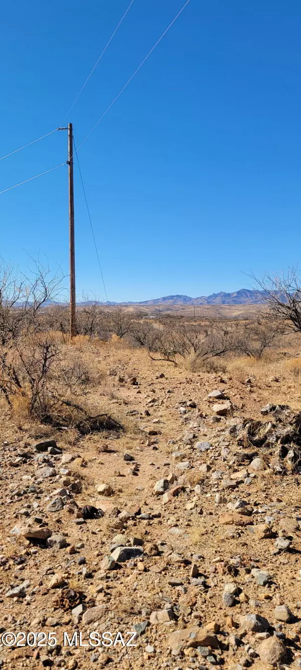 Rio Rico, AZ 85648,1804 Calle Tasa  #40