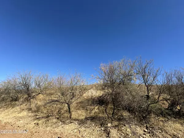 Rio Rico, AZ 85648,109 Via Finlandia  #52