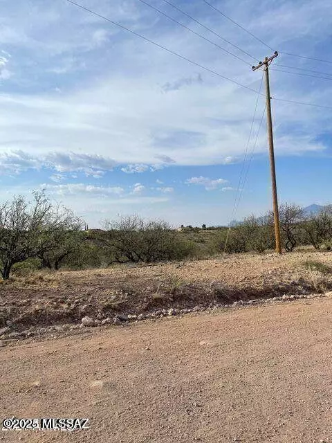 Rio Rico, AZ 85648,718 Camino Arruza  #40