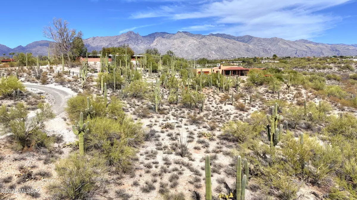 Tucson, AZ 85718,0000 N Camino Kino  #253