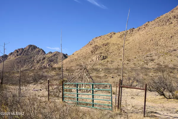 TBD N Owls Butte Trail #n/a, Portal, AZ 85632