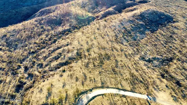 Rio Rico, AZ 85648,Eagle Peak Ct  #103