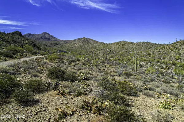 Tucson, AZ 85745,6840 W Banded Gecko Way #1-3