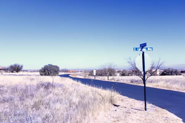 Hereford, AZ 85615,0 Lot 37 Wild Horse #37