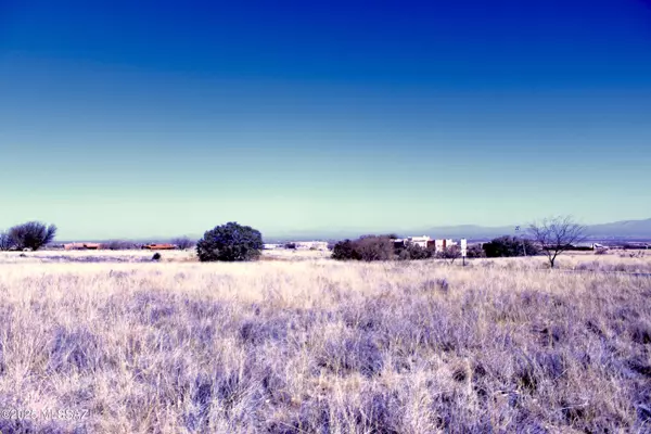 Hereford, AZ 85615,0 Lot 37 Wild Horse #37