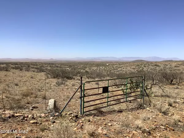 Willcox, AZ 85643,38.00ac E LOVE Lane #53