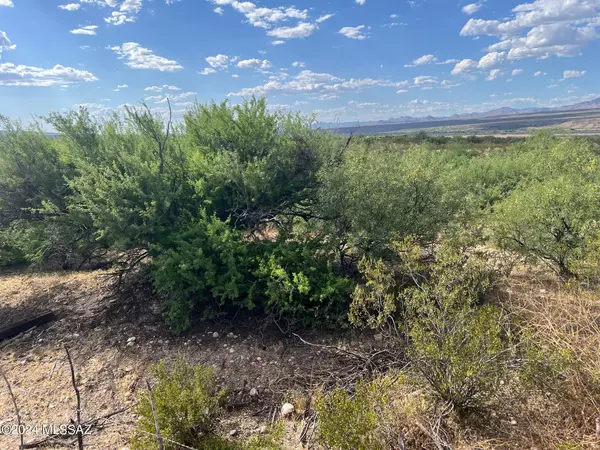 Fort Thomas, AZ 85536,16000 W Hinton Road #0