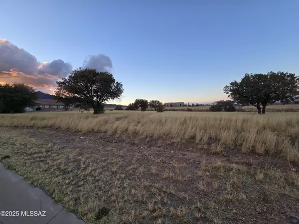 Hereford, AZ 85615,TBD Saddlehorn Circle #10