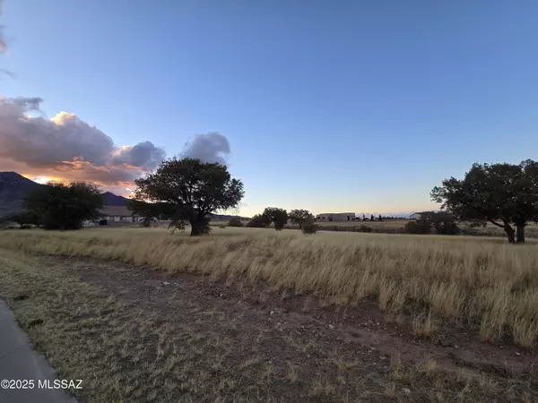 Hereford, AZ 85615,TBD Saddlehorn Circle #10