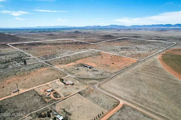 Elfrida, AZ 85610,398 Acres Highway 181  #-