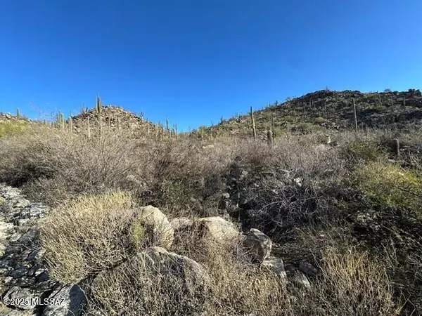 Marana, AZ 85658,13880 N Thornydale Road