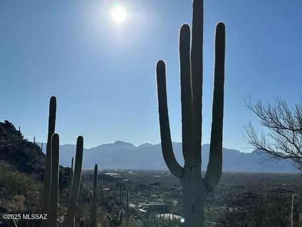 Marana, AZ 85658,13880 N Thornydale Road