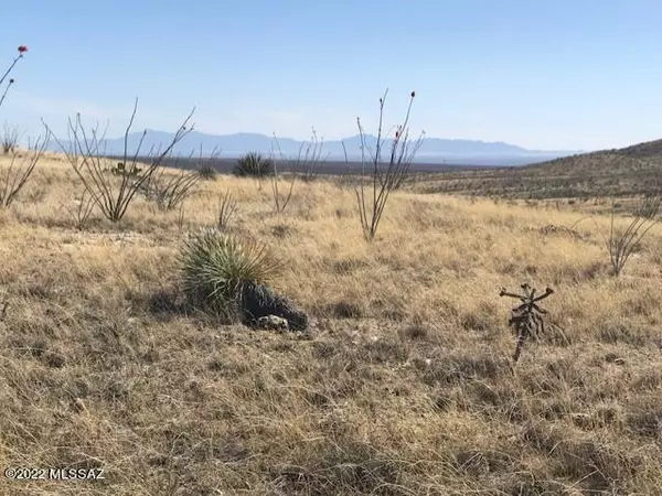 Dragoon, AZ 85609,TBD Dragoon Road #0