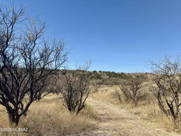 Patagonia, AZ 85624,1 A Stevens Canyon Road #1-A