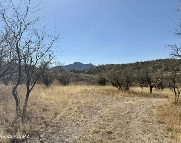 1 A Stevens Canyon Road  #1-A, Patagonia, AZ 85624