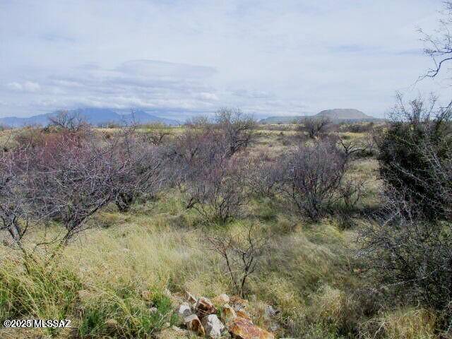 Sahuarita, AZ 85629,18535 S Bonanza Gold Drive #B