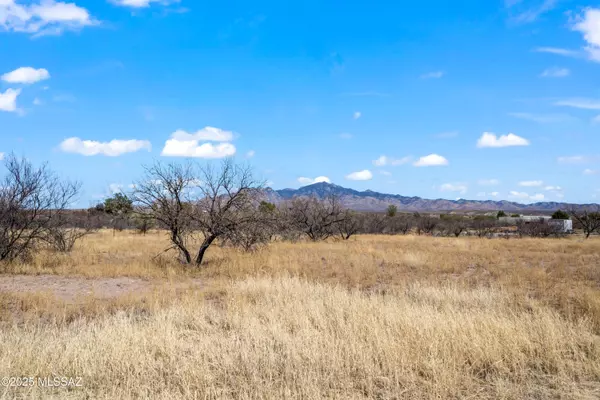 Tubac, AZ 85640,4 De Anza Court #70