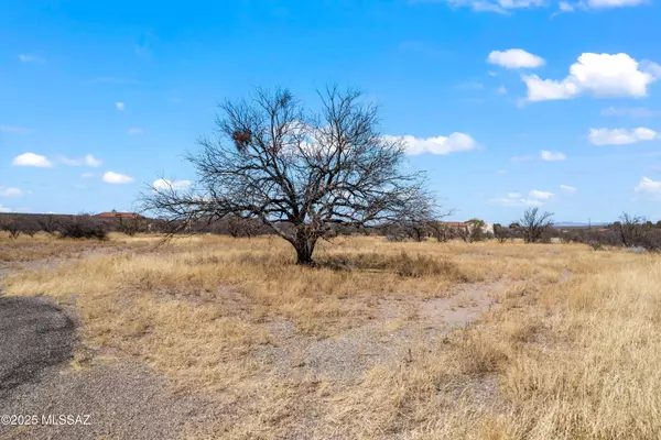 Tubac, AZ 85640,4 De Anza Court #70