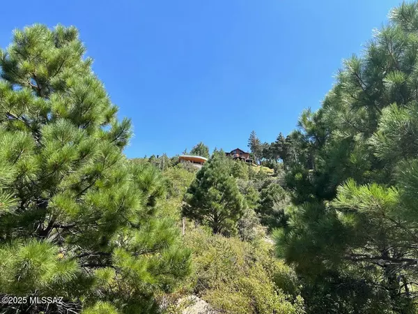 Mt. Lemmon, AZ 85619,12802 N Ray Avenue #12/17