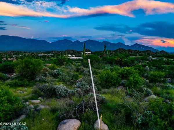 Tucson, AZ 85755,14971 N Slippery Ridge N Loop #476