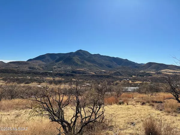 Patagonia, AZ 85624,TBD Sonoita Drive #9