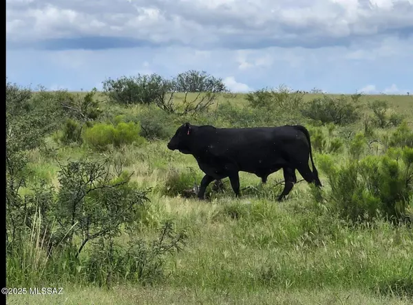 Tombstone, AZ 85638,TBD N Double U Ranch Road