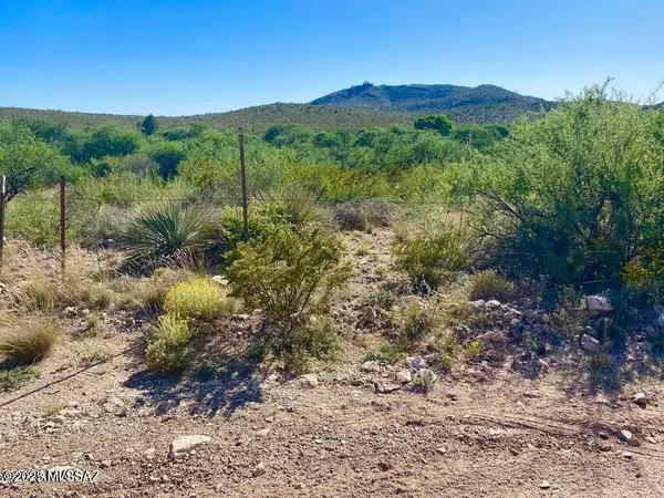 Vail, AZ 85641,TBD Rancho Kuvalto Rd 10 Acres