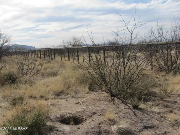 Cochise, AZ 85606,TBD N Cutting Horse Lane