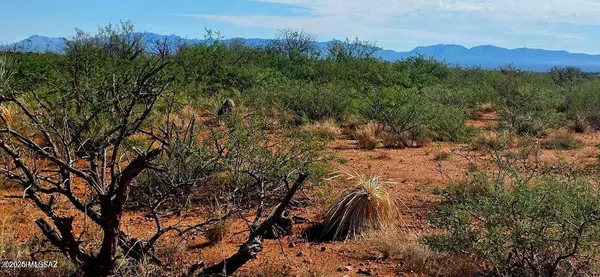 Huachuca City, AZ 85616,TBD 40 AC Ronald Reagan Parkway