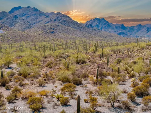 1316 N Acacia Cliffs Court #52, Tucson, AZ 85745