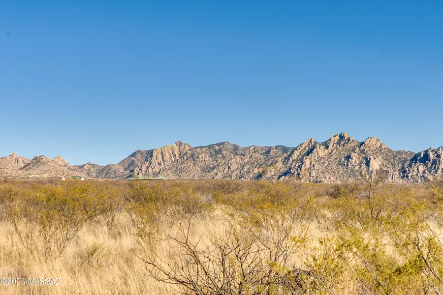 TBD Diamondback Road #155, St. David, AZ 85630
