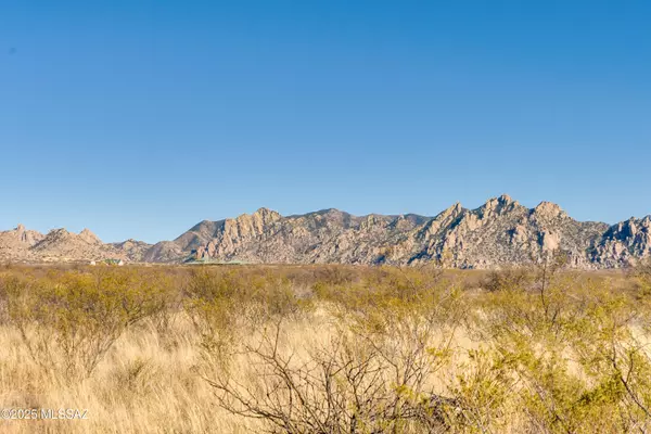 TBD Diamondback Road #155,  St. David,  AZ 85630