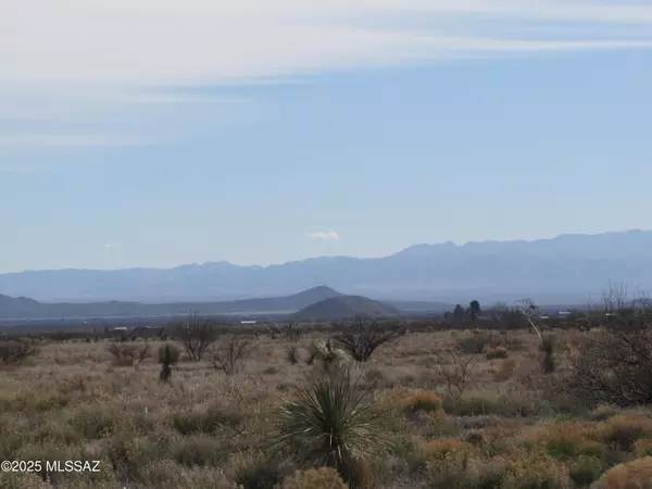 Pearce, AZ 85625,TBD Central Rd (corner of Orange)