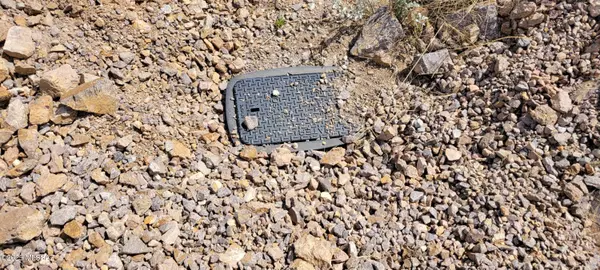 Tucson, AZ 85745,4790 N El Adobe Ranch Road